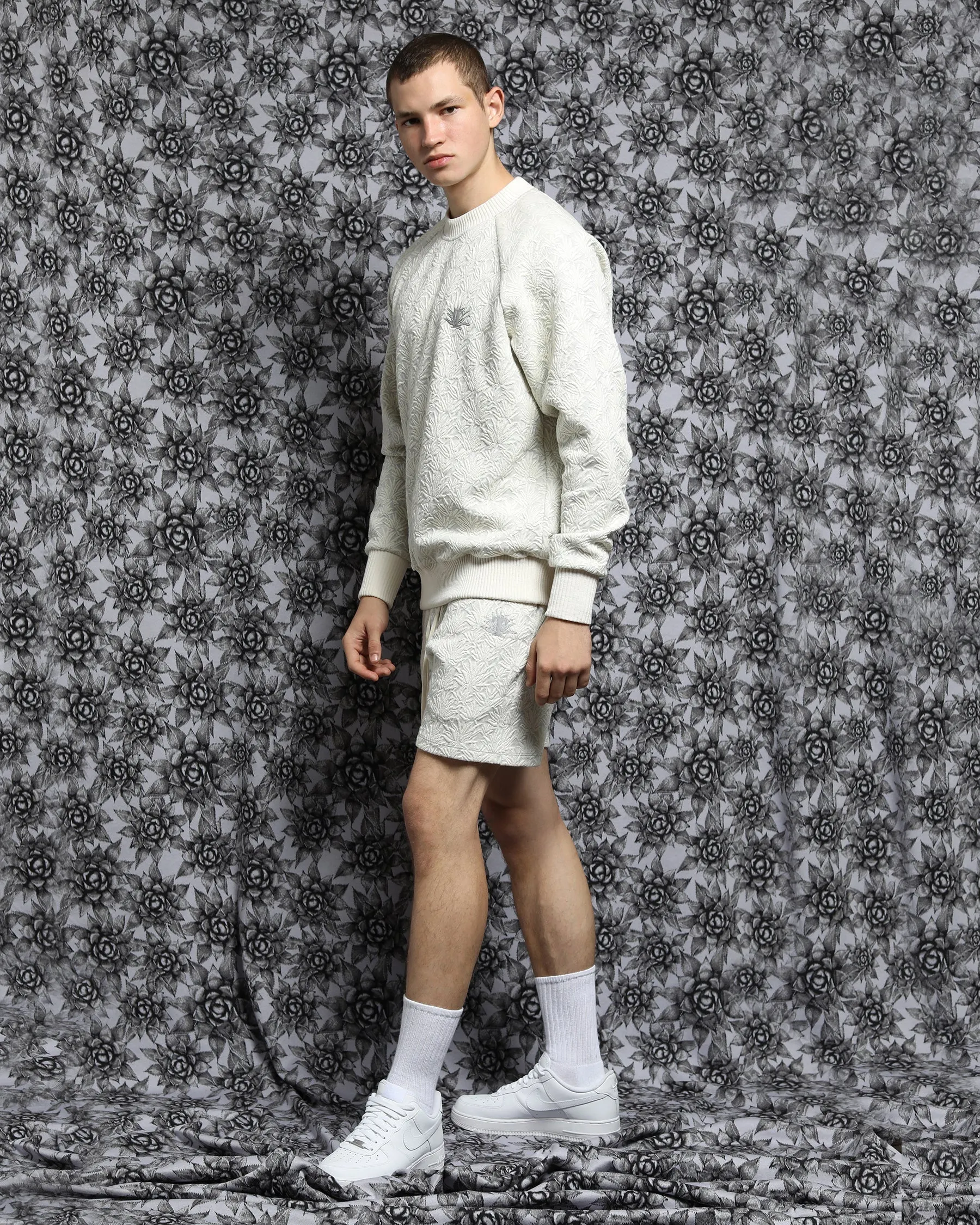 Agave 3D Blister Knit Raglan Crewneck (FINAL SALE)