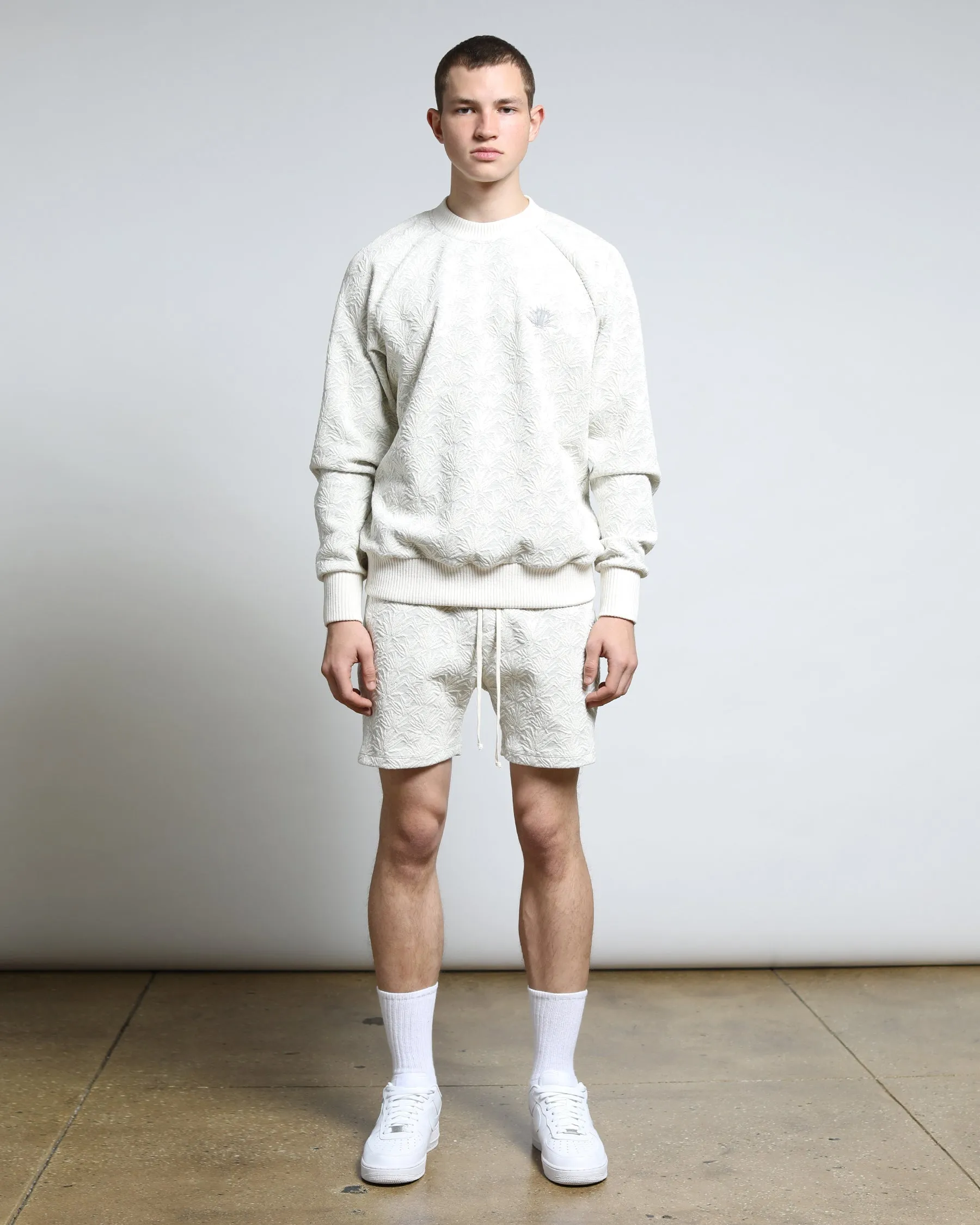 Agave 3D Blister Knit Raglan Crewneck (FINAL SALE)