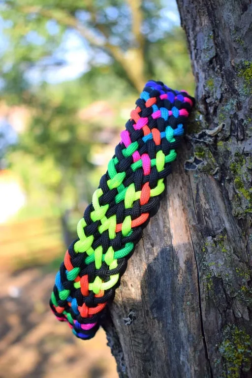 Pumpkin Braid Dog collar