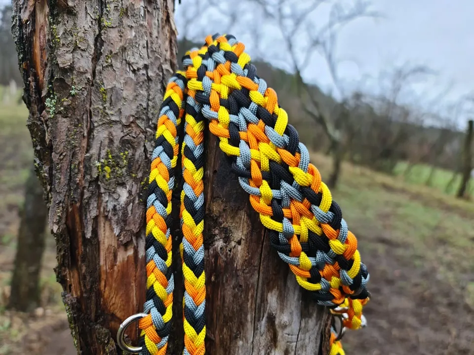 Pumpkin Braid Dog collar